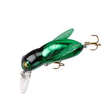 Rebel Bumble bug - June bug - 05403